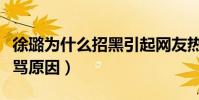 徐璐為什么招黑引起網友熱議(曾大方回應被罵原因)