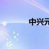 中興元航20Pro是什么顏色？