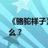 《駱駝祥子》的作者是誰 他的創作背景是什么？