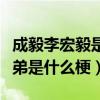 成毅李宏毅是一個人嗎（成毅李宏毅被爆親兄弟是什么梗）