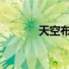 天空布滿星星 下一步是什么？