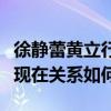 徐靜蕾黃立行為什么不結婚（徐靜蕾和黃立行現在關系如何）