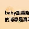 baby跟黃曉明最新消息（網傳兩人已經離婚的消息是真嗎）