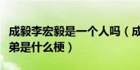 成毅李宏毅是一個人嗎(成毅李宏毅被爆親兄弟是什么梗)