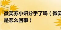微笑蘇小妍分手了嗎(微笑蘇小妍啪啪門事件是怎么回事)