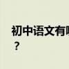 初中語文有哪些學習方法 如何提高語文成績？