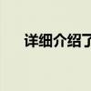 詳細介紹了語文作文的哪些寫作方法？