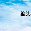 縮頭烏龜比喻什么樣的人？