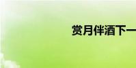 賞月伴酒下一句