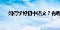 如何學好初中語文?有哪些學習方法?