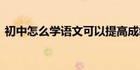 初中怎么學語文可以提高成績 怎么學好語文