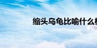 縮頭烏龜比喻什么樣的人?
