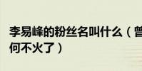 李易峰的粉絲名叫什么(曾為圈內頂流的他為何不火了)