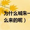 為什么喊朱一龍為居老師（居老師的外號是怎么來的呢）
