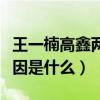 王一楠高鑫兩人真的離婚了嗎（兩人的離婚原因是什么）