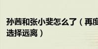 孫茜和張小斐怎么了(再度回應稱后悔不發聲選擇遠離)