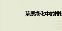 草原綠化中的排比修辭