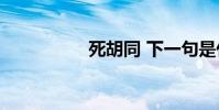死胡同 下一句是什么?