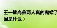 王一楠高鑫兩人真的離婚了嗎(兩人的離婚原因是什么)