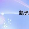 凱子是一個單一的角色嗎？