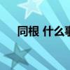 同根 什么事這么急？這個比喻是什么？