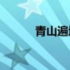 青山遍地埋忠骨全詩是誰寫的？