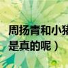 周揚青和小豬什么關系（周揚青黑羅志祥是不是真的呢）