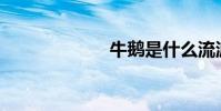 牛鵝是什么流派?