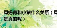 周揚青和小豬什么關系(周揚青黑羅志祥是不是真的呢)
