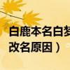 白鹿本名白夢妍是什么時候改的名（揭秘明星改名原因）