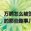 萬鵬怎么被簽約的（起底萬鵬進入壹加壹公司的那些趣事兒）