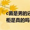 c菌是男的還是女的（網傳c菌和莫璃雙雙出柜是真的嗎）