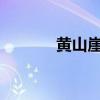 黃山崖松馮驥才主要內容概述