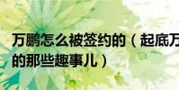 萬鵬怎么被簽約的(起底萬鵬進入壹加壹公司的那些趣事兒)