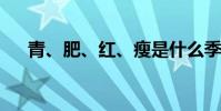 青、肥、紅、瘦是什么季節 從何而來?