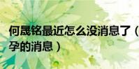 何晟銘最近怎么沒消息了(他曾經曝光楊冪懷孕的消息)