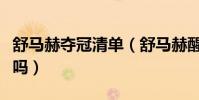 舒馬赫奪冠清單(舒馬赫醒了大家知道為什么嗎)