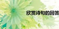 欣賞詩句的回答格式