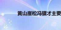 黃山崖松馮驥才主要內容概述