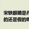 宋軼眼睛是丹鳳眼嗎（網曝宋軼做了眼睛是真的還是假的呢）