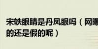 宋軼眼睛是丹鳳眼嗎(網曝宋軼做了眼睛是真的還是假的呢)