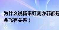為什么說楊采鈺劉亦菲都是瘦馬(他們都與陳金飛有關系)