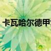 卡瓦哈爾德甲復賽（卡瓦哈爾為什么去德甲）