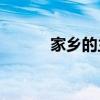 家鄉的主要內容總結作者是誰？