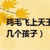 雞毛飛上天玉珠江河有孩子嗎（駱玉珠一共有幾個孩子）