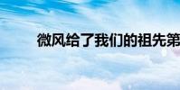 微風給了我們的祖先第一口氣修辭