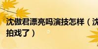 沈傲君漂亮嗎演技怎樣(沈傲君現在為什么不拍戲了)