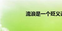 流浪是一個貶義詞嗎?