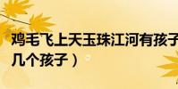 雞毛飛上天玉珠江河有孩子嗎(駱玉珠一共有幾個孩子)