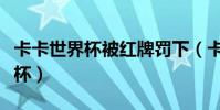 卡卡世界杯被紅牌罰下(卡卡為什么沒進世界杯)